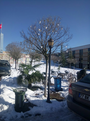 Kabaoğlu, Kocaeli Ünv. Kampüsü, 41100 İzmit/Kocaeli, Türkiye