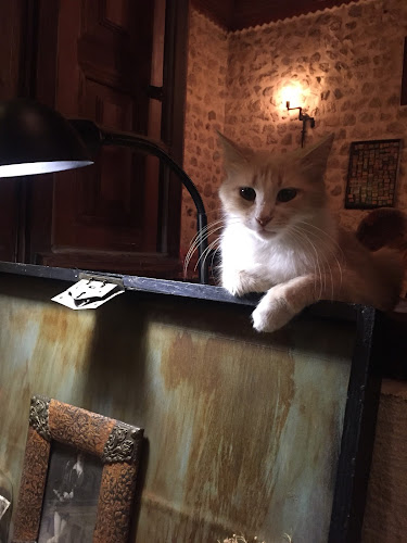 Retroo Cafe Lounge Bar - Gastronomi ve konaklama