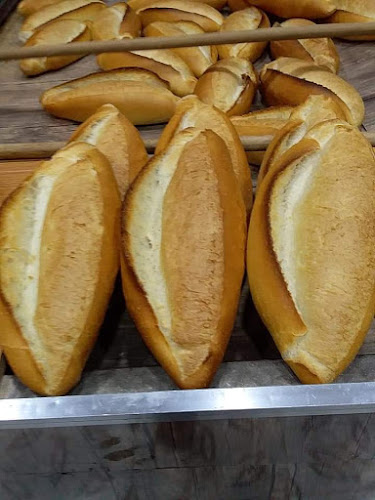 Üniversite, 25240 Yakutiye/Erzurum