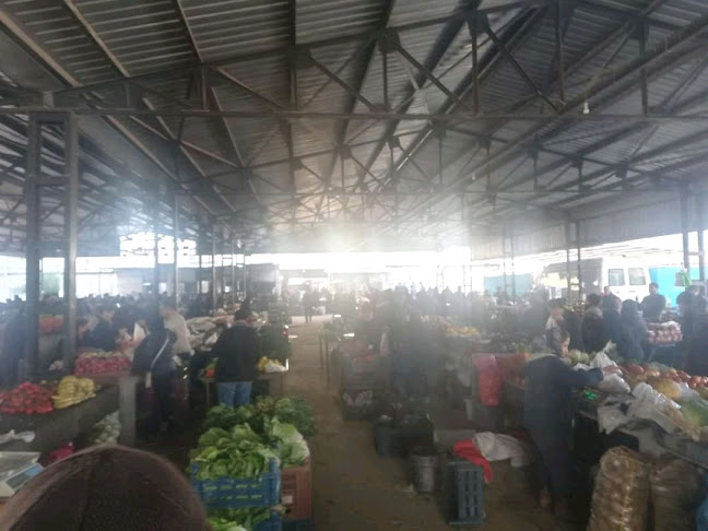 Opinii despre Serinyol Pazar Sahası în Antakya - Gastronomi ve konaklama