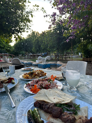 Mangal Restoran - Mezitli