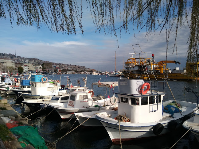 Avcılar Çay Bahçesi - Sinop Merkez