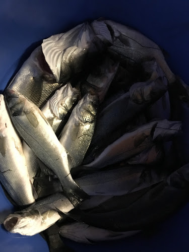 Opinii despre AhtapoRt Restaurant By Kerrem în Burhaniye - Gastronomi ve konaklama