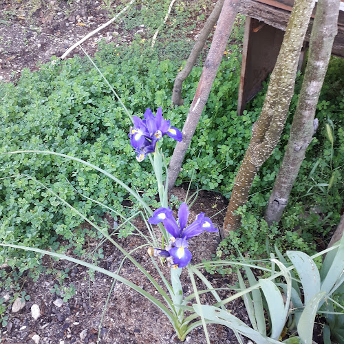 İzmir Pide Lahmacun Fırını