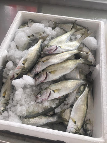 Murat Balıkçılık Side - Side Bld/Manavgat