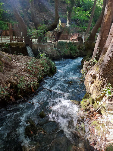 Comentarii opinii despre Zeyve Yörem Aile Et ve Balık Restaurant
