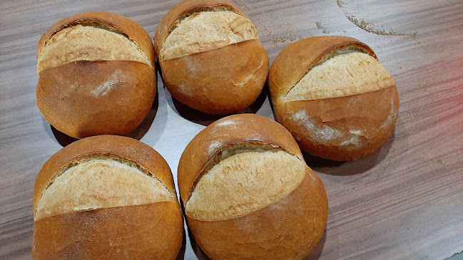 UMUDUM KARDEŞLER UNLU MAM GID.VE İHT.MAD.LTD.ŞTİ - Gastronomi ve konaklama