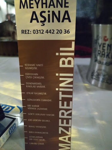 Comentarii opinii despre MEYHANE AŞİNA