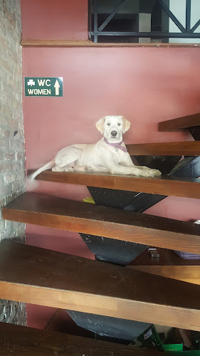 Hacıfeyzullah, 09400 Kuşadası/Aydın