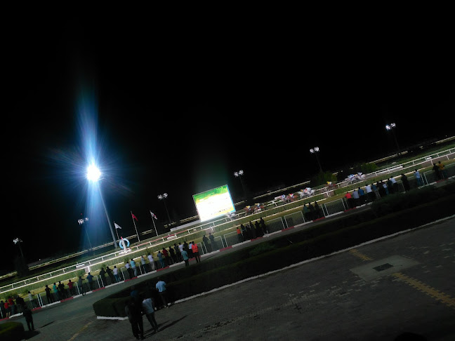 Opinii despre Elazığ Hipodromu în Elazığ - Gastronomi ve konaklama