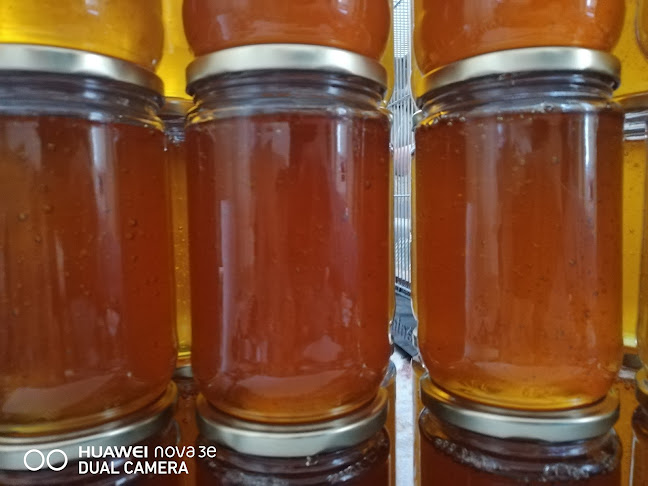 Opinii despre Akbulut balcı în Bitlis Merkez - Gastronomi ve konaklama