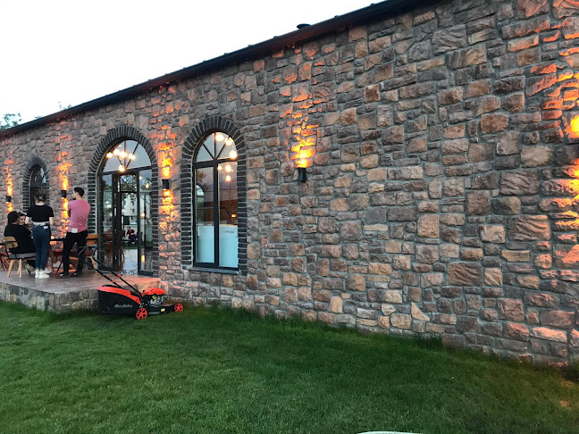 Opinii despre Mançurya în Orhangazi̇ - Gastronomi ve konaklama