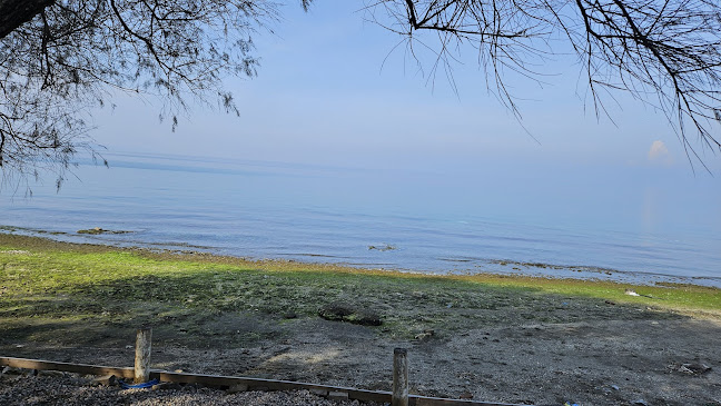 Zeytin Cafe & Restaurant Urla - Gastronomi ve konaklama