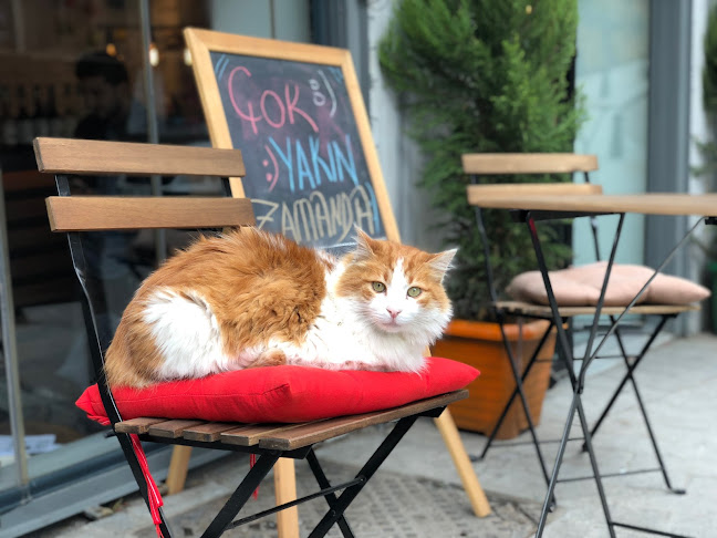 Comentarii opinii despre BEKLİYORUZ Cafe