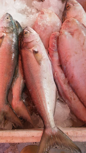 OLTA BALIK EVİ - Gastronomi ve konaklama