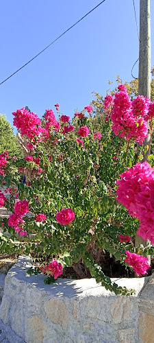 Rüzgar Cafe Datça - Gastronomi ve konaklama