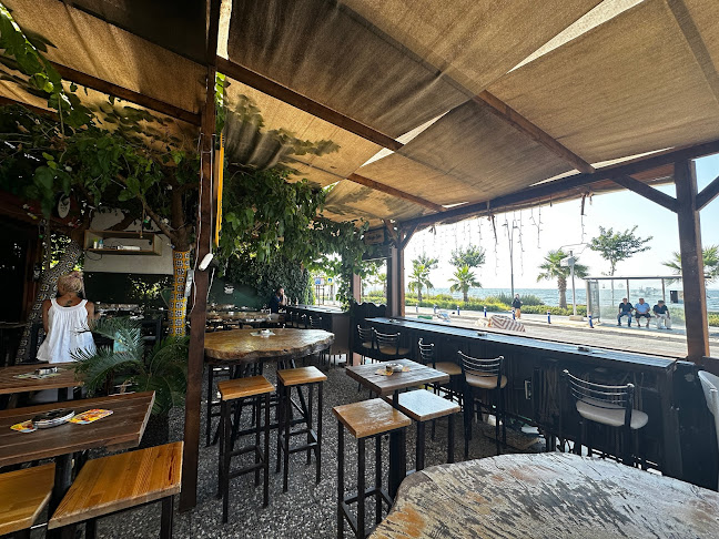 Blackbird - Narlıdere