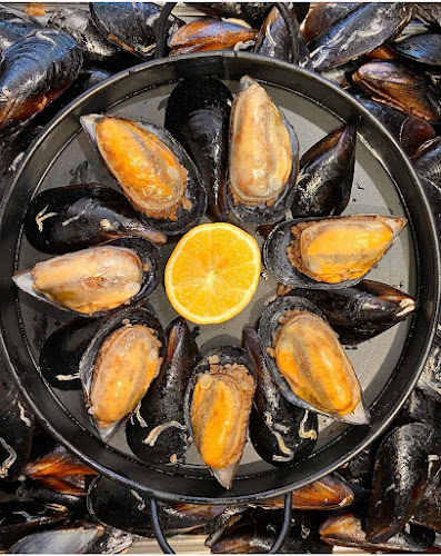 Kıyı midye - Antalya