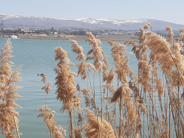 Comentarii opinii despre Kervansaray CAFE Mogan GÖLÜ(Karadeniz sofrası)