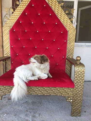 Akçaabat Ekmek Fırını - Düzce Merkez