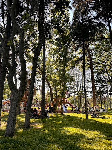 İBB Florya Sosyal Tesisleri: İdeal Salon - Gastronomi ve konaklama