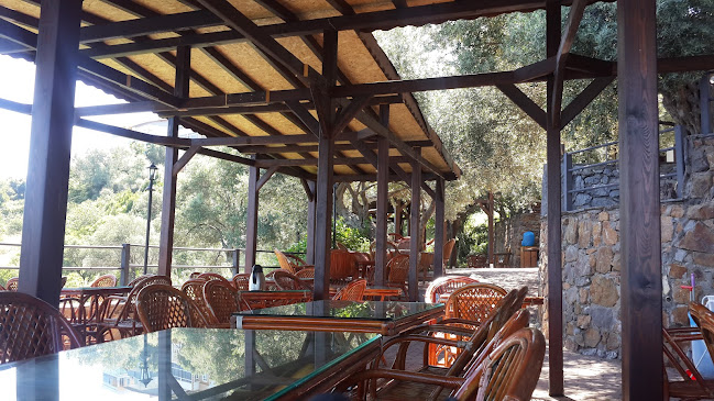 Falez Cafe - Gastronomi ve konaklama