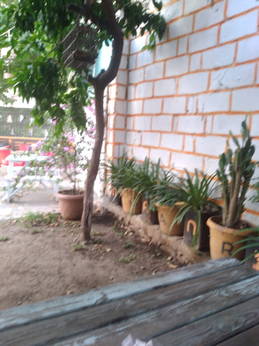 Opinii despre Mandalin's garden în Orhangazi̇ - Gastronomi ve konaklama