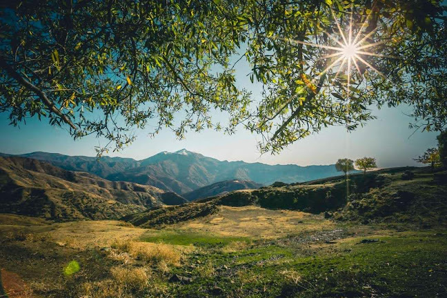 Mereto Kıraathanesi - Gastronomi ve konaklama