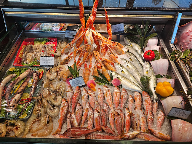 Mavi Balık - Beşiktaş