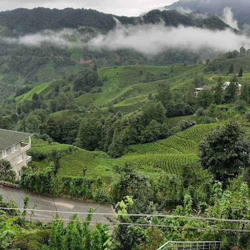 Meydan Döner Ve Kebap Salonu - Gastronomi ve konaklama