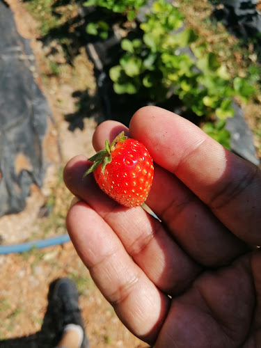 Fatih, Adana Sivas Yolu, 01740 Saimbeyli/Adana, Türkiye