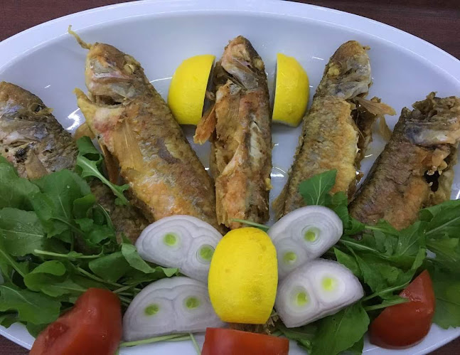 Comentarii opinii despre Arslan Balık