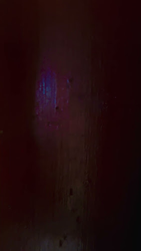 Opinii despre Kuş Evi Restoran în Beykoz - Gastronomi ve konaklama