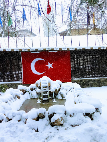 Opinii despre Belediye Çay Bahçesi (Yenice Çay Bahçesi) în Bünyan - Gastronomi ve konaklama