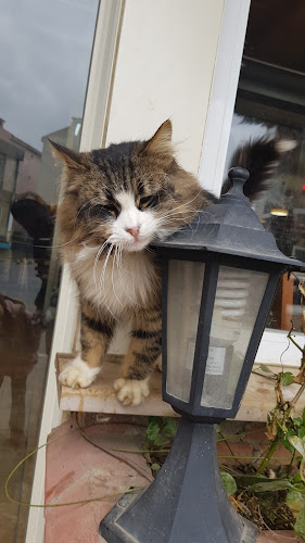 Güngören, Turgut Özal Cd. No:7, 34788 Çekmeköy/İstanbul, Türkiye