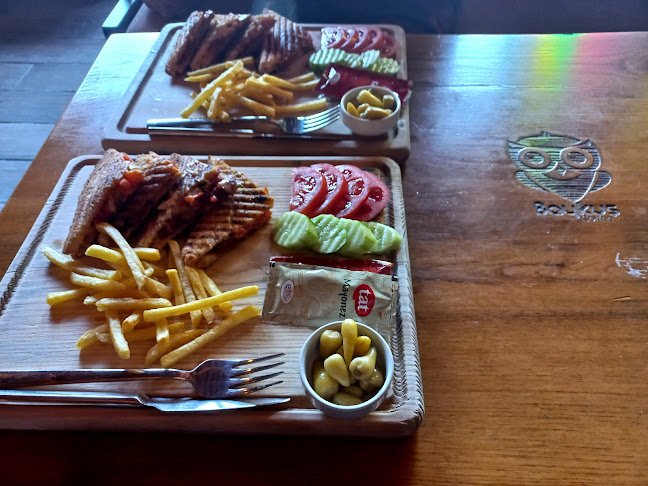 OWL COFFE HOOKAH - payas