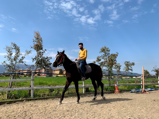 Opinii despre Akvaryum Cafe ve Binicilik Eğitim Merkezi în Antakya - Gastronomi ve konaklama