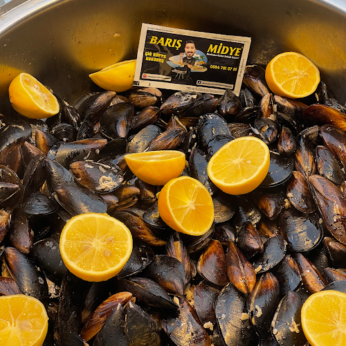 Yalı Cd, Çamlık, 405. Sk. No:33, 09270 Didim/Aydın