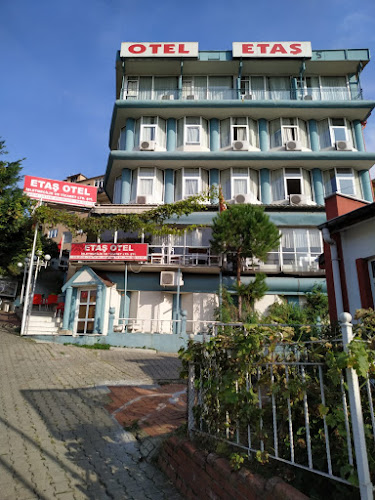 Bağlık, Yurt Cd. No:14, 67300 Ereğli/Zonguldak