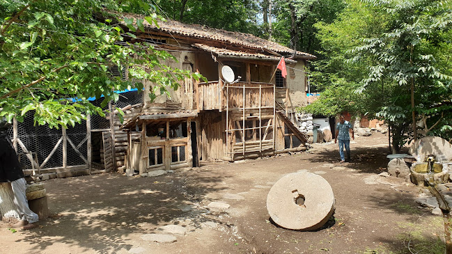 Niksar Kavlağanlık Alabalık Tesisi - Gastronomi ve konaklama