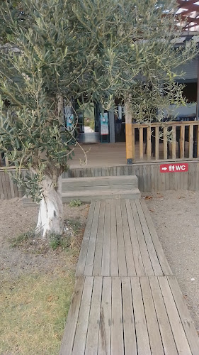 mavi bahçe - Gastronomi ve konaklama