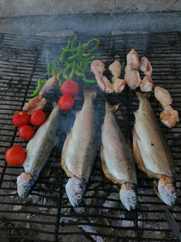 Özkardeşler Canlı Alabalık - Gücünkaya/Aksaray Merkez