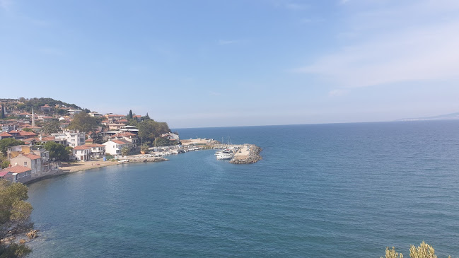 Falez Cafe - Gastronomi ve konaklama