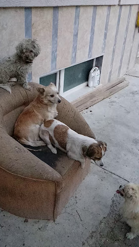 artı keyf - Bozüyük