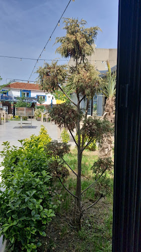 SARAÇLAR ÇÖPŞİŞ - Hayrabolu