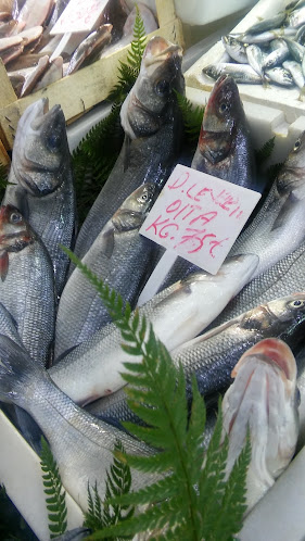 Comentarii opinii despre Balıkçı Mürsel