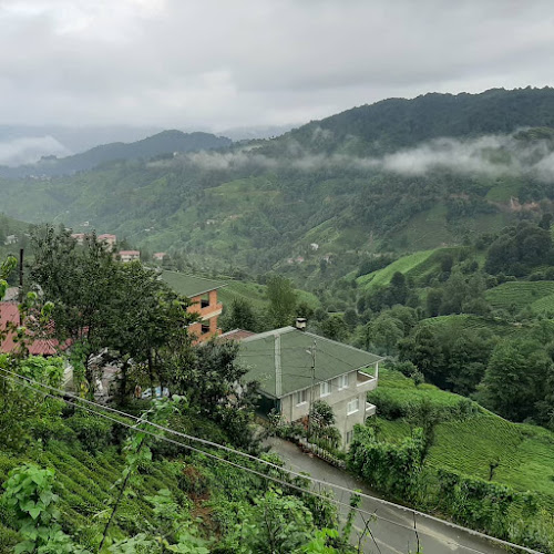 Opinii despre Meydan Döner Ve Kebap Salonu în Malatya Merkez - Gastronomi ve konaklama