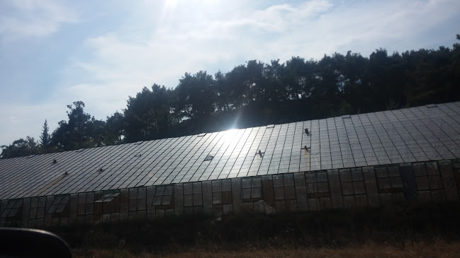 Güven Gözleme - Konyaaltı