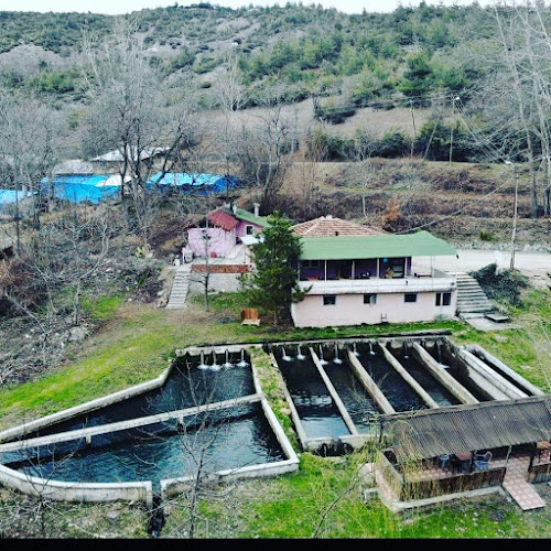 Niksar Kavlağanlık Alabalık Tesisi