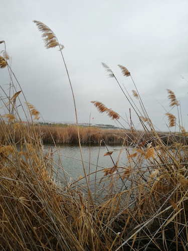 Aysa Restoran - Gastronomi ve konaklama